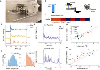 Plume Dynamics Structure the Spatiotemporal Activity of Mitral/Tufted Cell Networks in the Mouse Olfactory Bulb